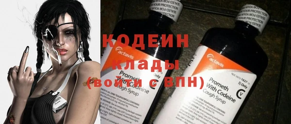 твердый Ладушкин