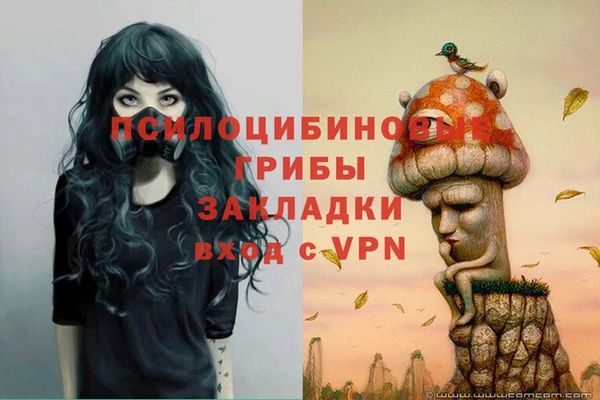 твердый Липки