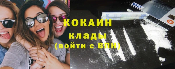 твердый Ладушкин