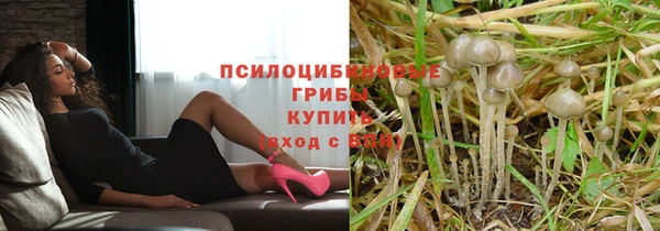 mdpv Лагань