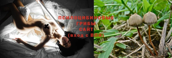 твердый Липки