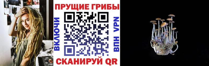 Галлюциногенные грибы GOLDEN TEACHER  цена   блэк спрут вход  Лиски 